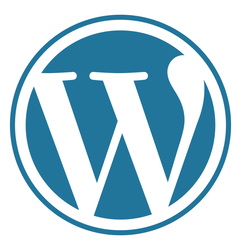 wordpress website design in bathinda